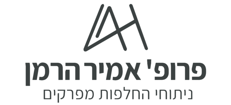 אמיר הרמן