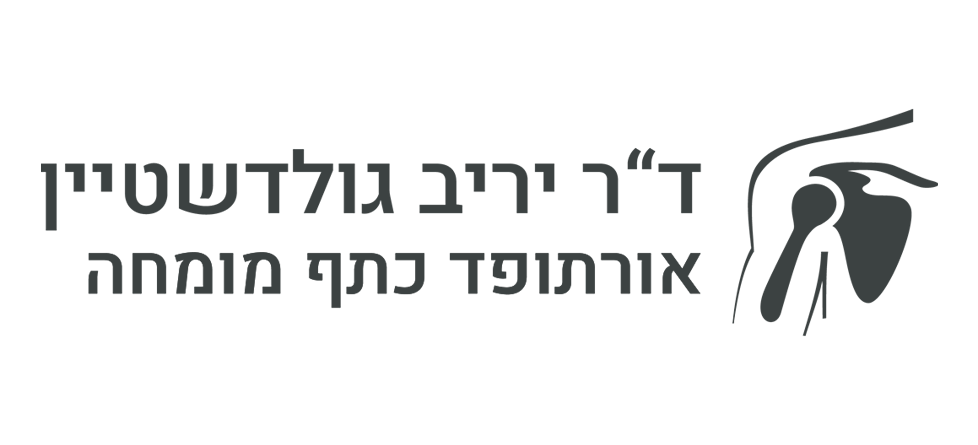 יריב גולדשטיין