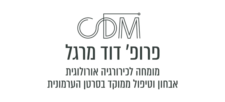 דוד מרגל